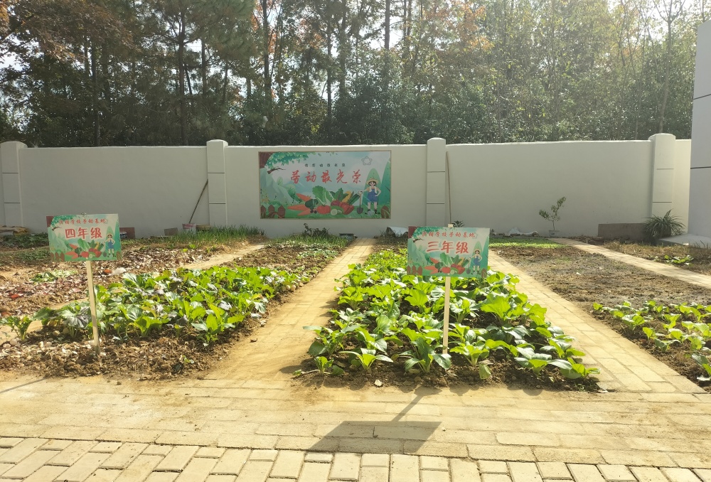 新竣工的勞動基地圖片(1).jpg