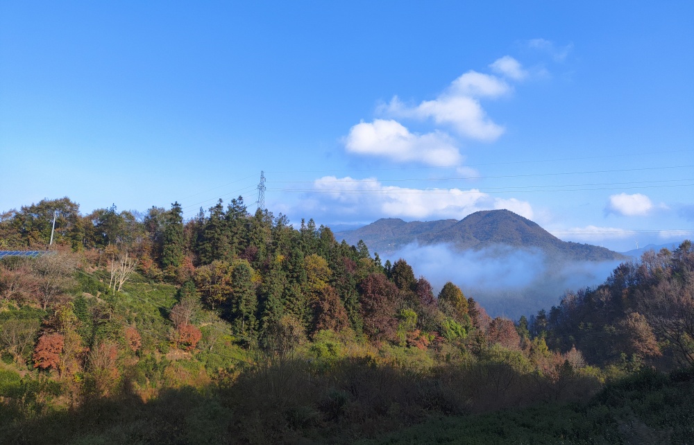 桐城市黃甲鎮秋景.jpg