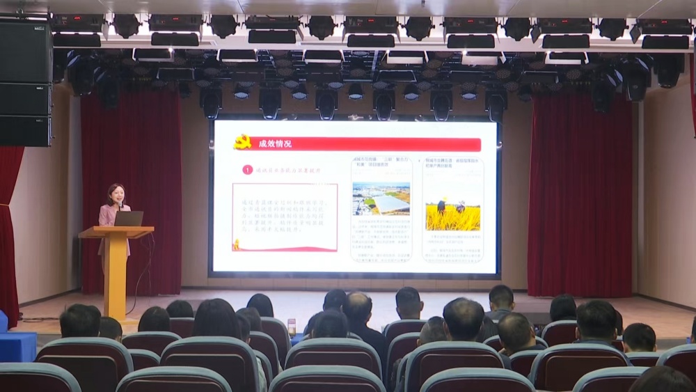 桐城市舉辦2024 年度市直機關黨建“書記項目” 路演評審會2.jpg
