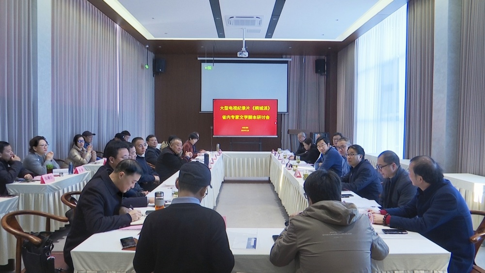 大型電視紀錄片《桐城派》省內(nèi)專家文學腳本研討會召開.jpg
