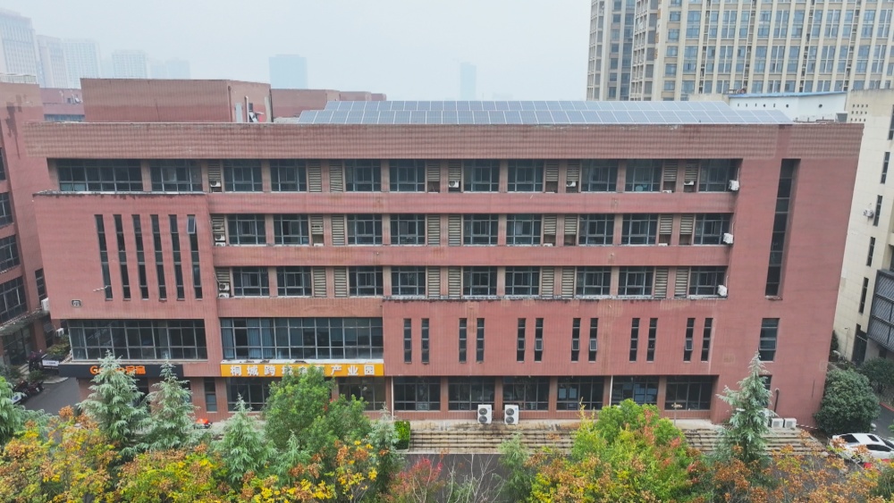 圖為設立在省會合肥市的“飛地版”桐城跨境電商產業園.jpg