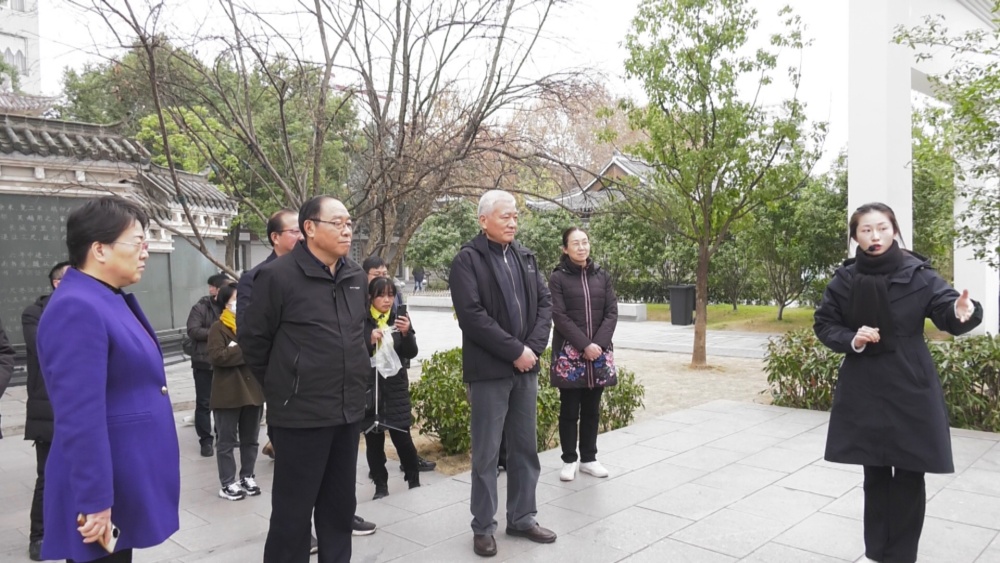圖為調研組在桐城六尺巷調研。.jpg