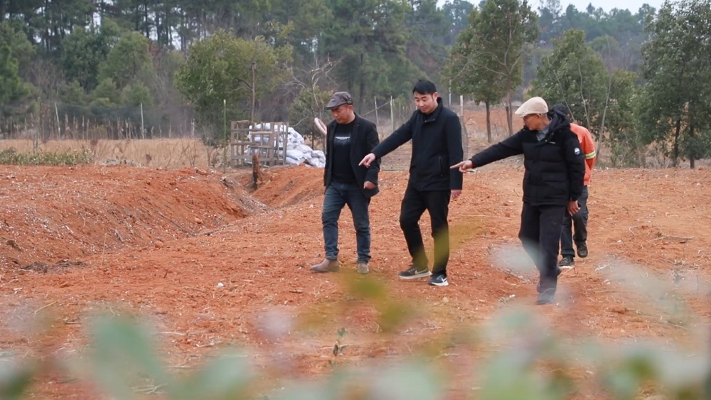 安徽桐城：“鄉賢自治” 繪就和美鄉村新畫[00_04_52][20250218-164033].jpg