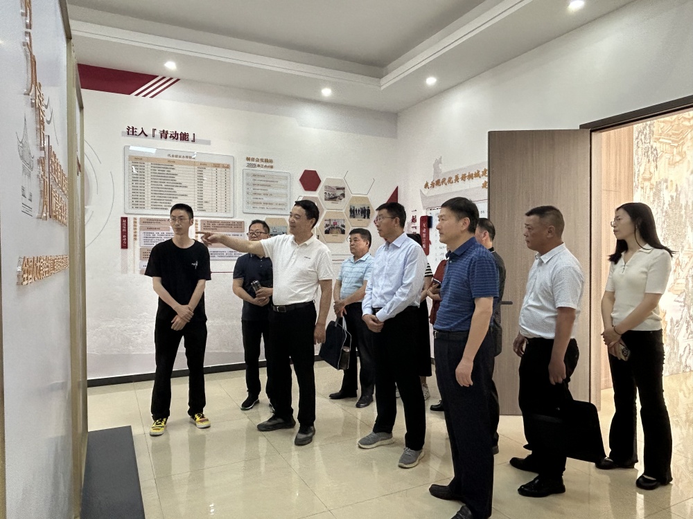 周東明在桐城市呂亭鎮全過程人民民主桐青會實踐站調研.jpg