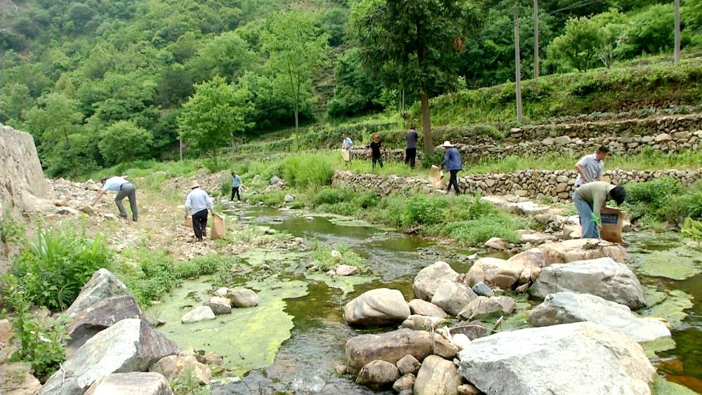 黃甲鎮宜居行動  清理河道垃圾.jpg