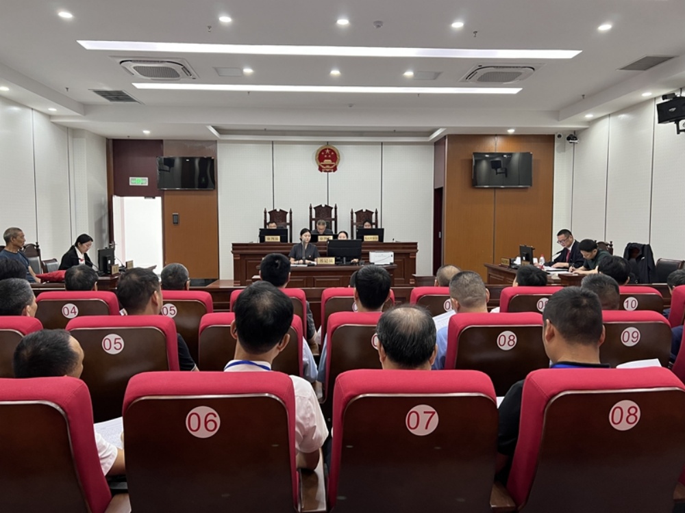 桐城市人大常委會組織開展“法院開放日”暨旁聽庭審活動 (4)_副本.jpg